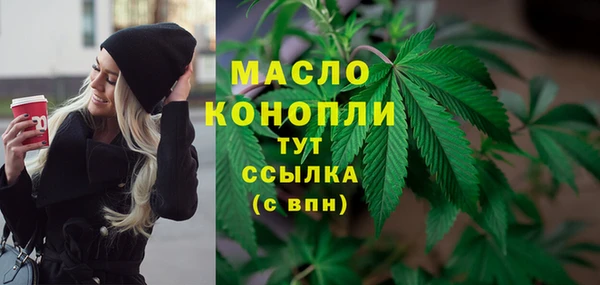 spice Инсар