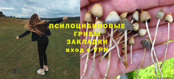 spice Инсар