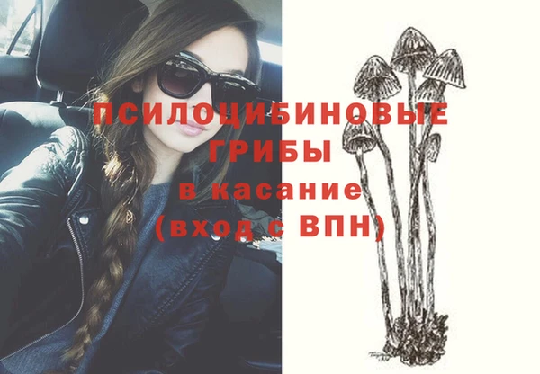 spice Инсар