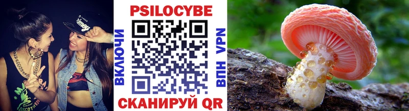 Купить  Буй  Галлюциногенные грибы Psilocybe 