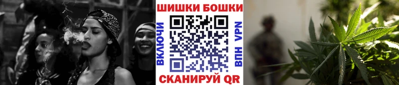 Бошки марихуана THC 21%  Купить закладки  Буй 